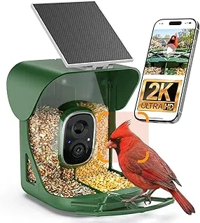 Upgrade Your Backyard: The 9 Best AI-Powered Smart Bird Feeders for 2026 12 Smart bird feeder showing 2K color night vision of a bird