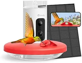 Upgrade Your Backyard: The 9 Best AI-Powered Smart Bird Feeders for 2026 14 Specialized red hummingbird camera feeder